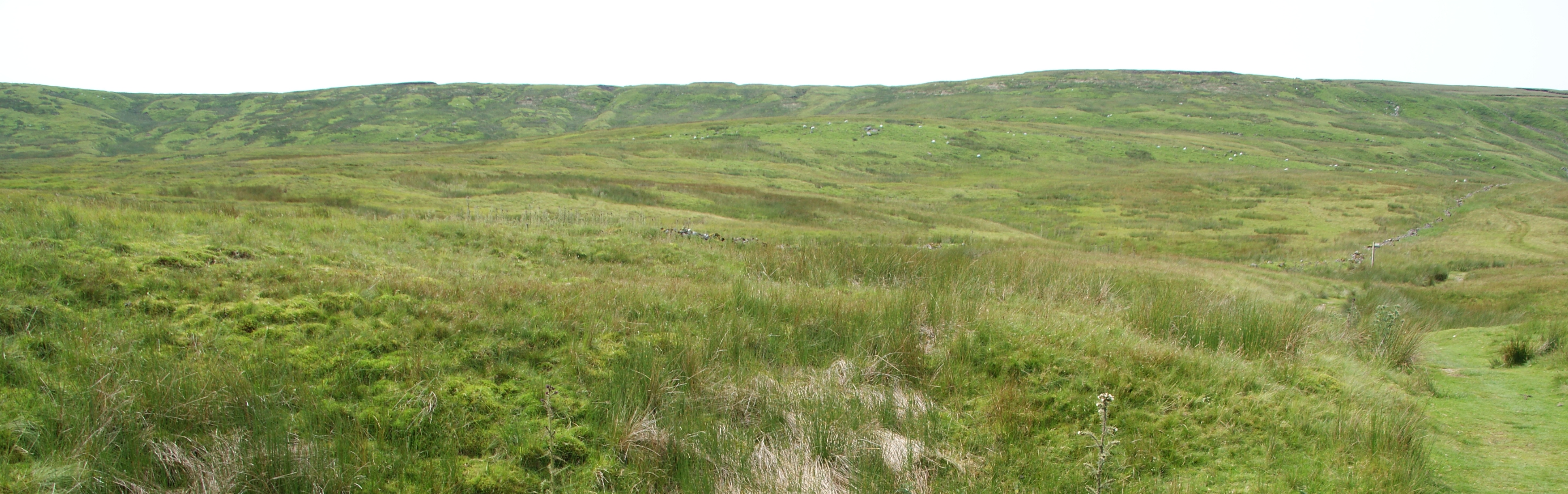 View across Saddleworth